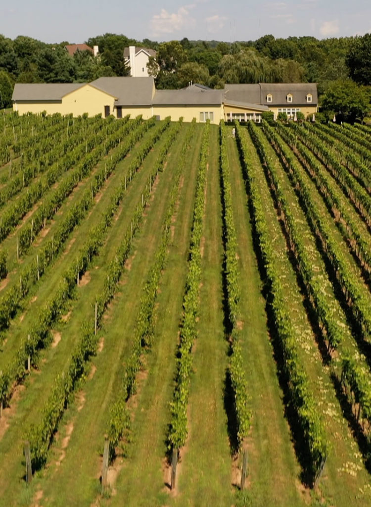 Bucks County Wine Trail Explore the family wineries of Bucks County