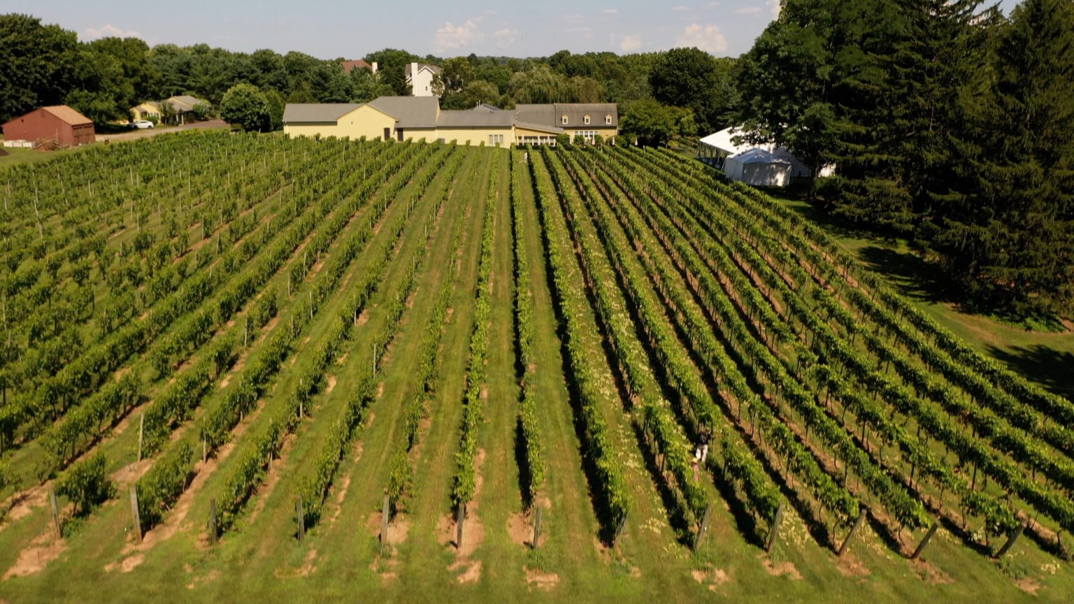 Bucks County Wine Trail Brings Back Passport to Bucks Bucks County