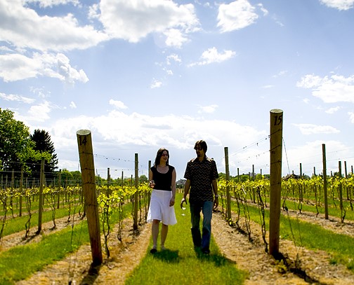 All eight Bucks County Wine Trail locations are participating in Summer Sip & Savor.